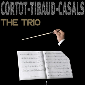 Trio for violin, cello and piano No. 1 in D Major Op. 63: I Mit Energie und Leidenschaft