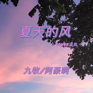 夏天的风