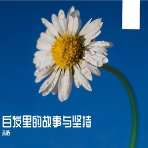 白发里的故事与坚持