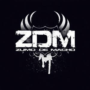 ZDM