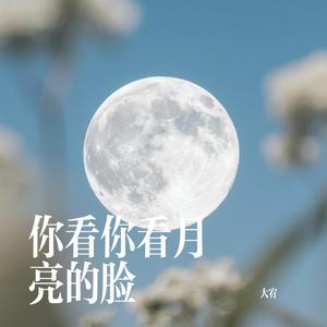 你看你看月亮的脸