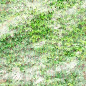 SONIC (Instrumental)