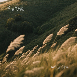 风吹过半山坡