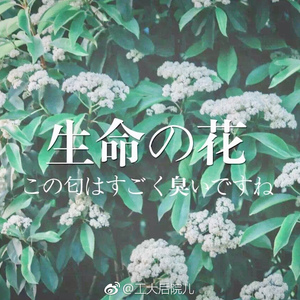 石楠花（Prod by Oti）