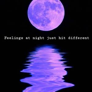 有没有（翻自 王贰浪）