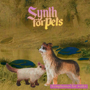 Waiting for the rain