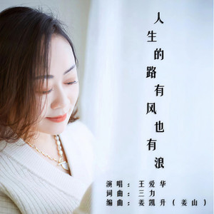 人生的路有风也有浪 (DJ版)