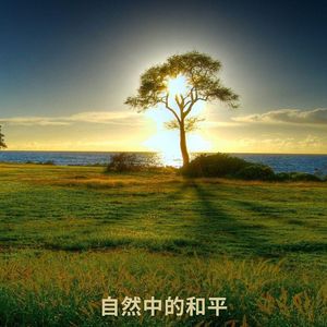 花园里的和平