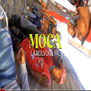 Moca