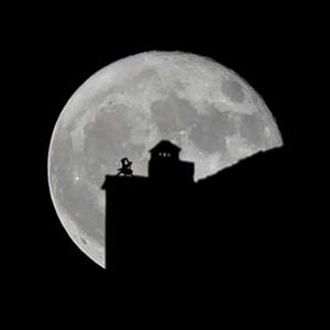 我能邀你一起跳支舞吗？