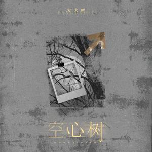 空心树 (伴奏)