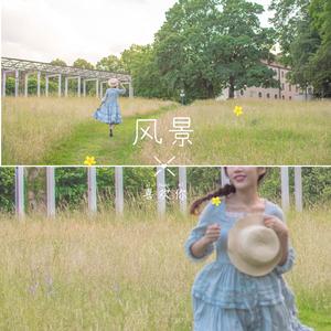 风景