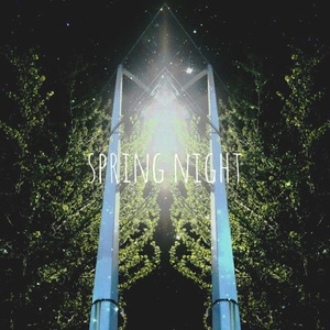 Spring Night