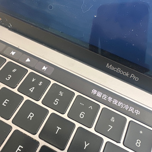 爱你和理智不会同一时间存在