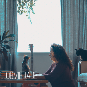 Obviedade