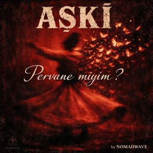 Pervane miyim? (Aşkî)