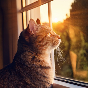 Stretching Into The Infinite