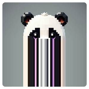 Floppy Disks