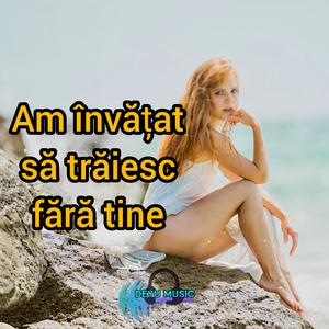 Am învățat să trăiesc fără tine