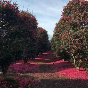 沒人聼的情歌(Prod.Yn1Jasper)