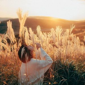 土坡上的狗尾巴草（深情版） 伴奏