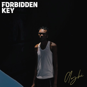 Forbidden Key (Pro)