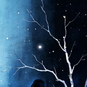 冬夜枯树的思念