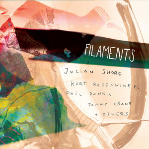 Grey Light, Green Lily (feat. Kurt Rosenwinkel)