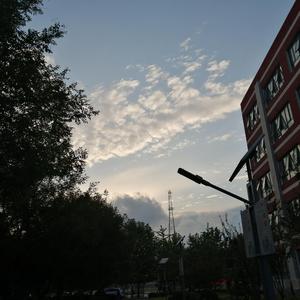 苏东坡