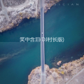 笑中含泪 (DJ村长 remix)