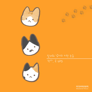 알려줘 냥이의 이런 모습