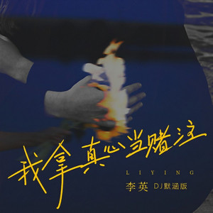 我拿真心当赌注 (DJ默涵版)