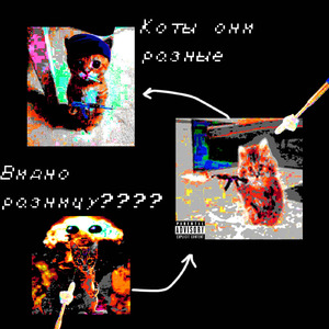 Хаваю