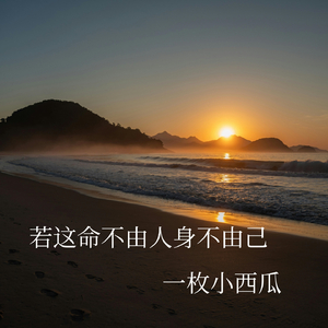 若这命不由人身不由己