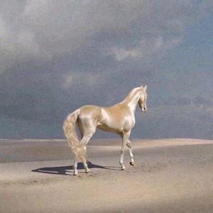 [ Free ] " sorry " - prod by e.pine