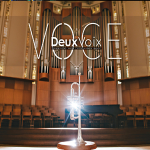 25 Norwegian Folk Songs and Dances, Op. 17: 12. Solfager Og Ormekongen "Solfager and the Snake King"