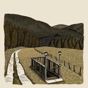 Byrne's Hornpipe / Galway Bay