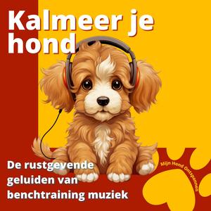 Huisdieren ontspanning