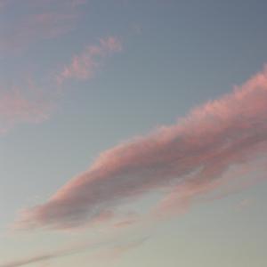 晚风（翻自 陈婧霏）