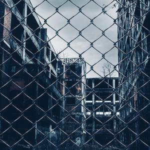 Dear gentle listener