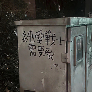 我们曾经的照片 旁边洒满了花瓣