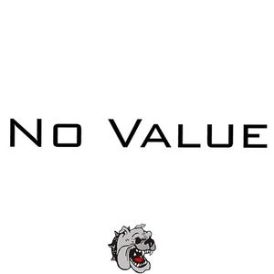 无价值（No Value）