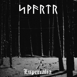 Lone Wolf, My Journey Through The Black Forest