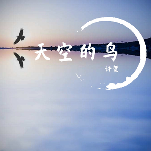 天空的鸟