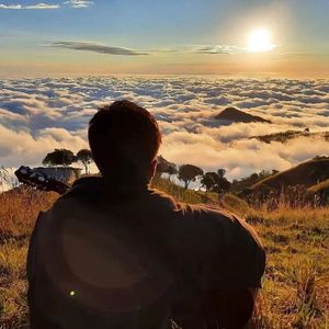 烟雨折柳令-成品