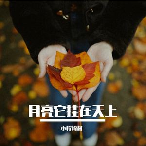 《月亮它挂在天上》