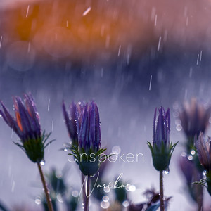 Unspoken