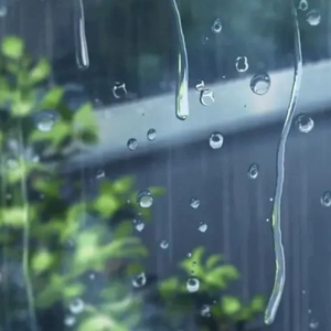 雨下了好多淋湿了我的身体