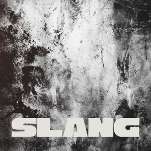 Slang