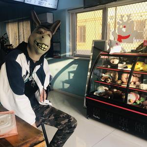 有没有（翻自 王琛）